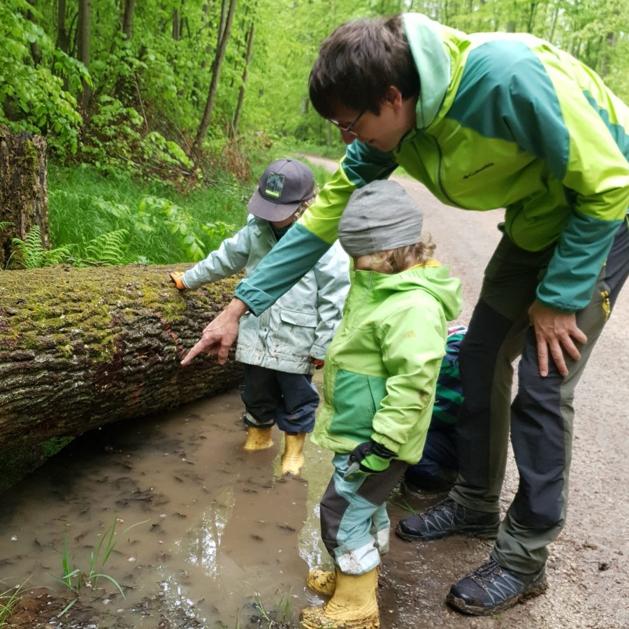 Waldtag